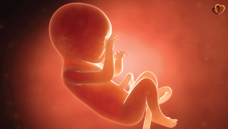 abortion-bans-crime-1