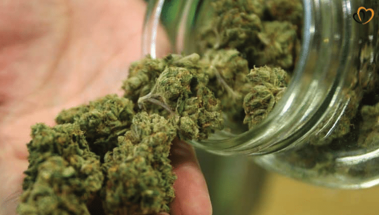 marijuana-legalization-1