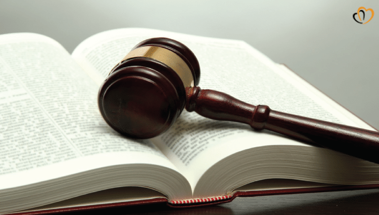 Gun Violence - Extended Background Searchs - Bills and Laws