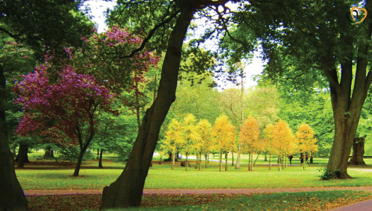 parks-reduce-crime-rate-1