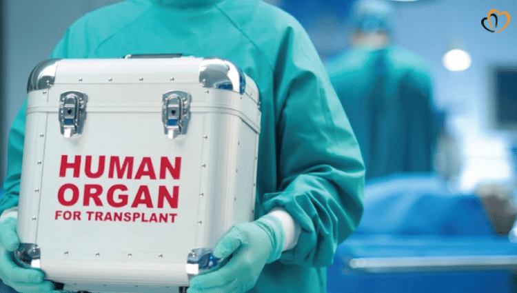 Organ Trafficking Syndicates-1