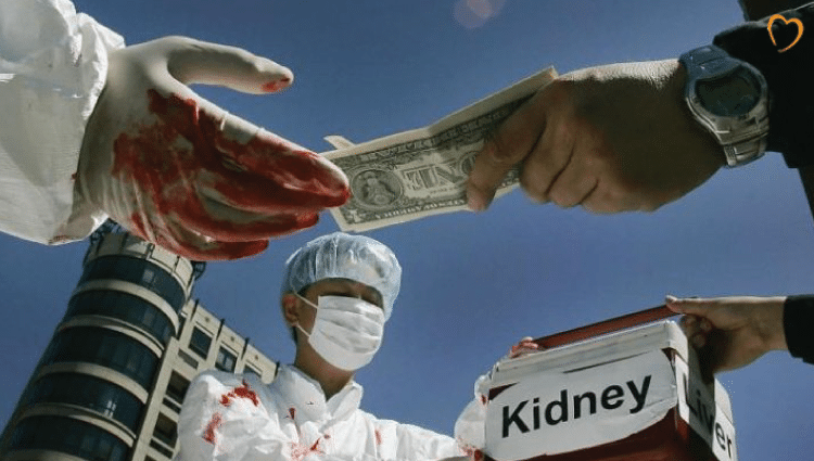 Organ Trafficking Syndicates-2