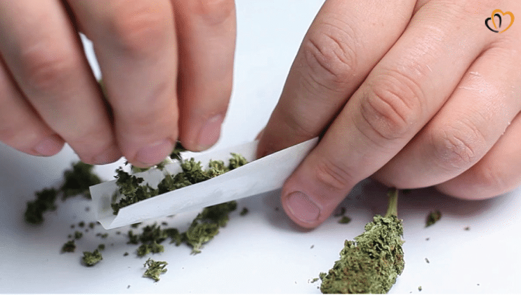 Keeping Your Teens Away From Drugs - Marijuana